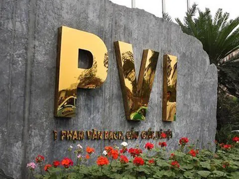 Tổng giám đốc mới của Công ty PVI là ai?